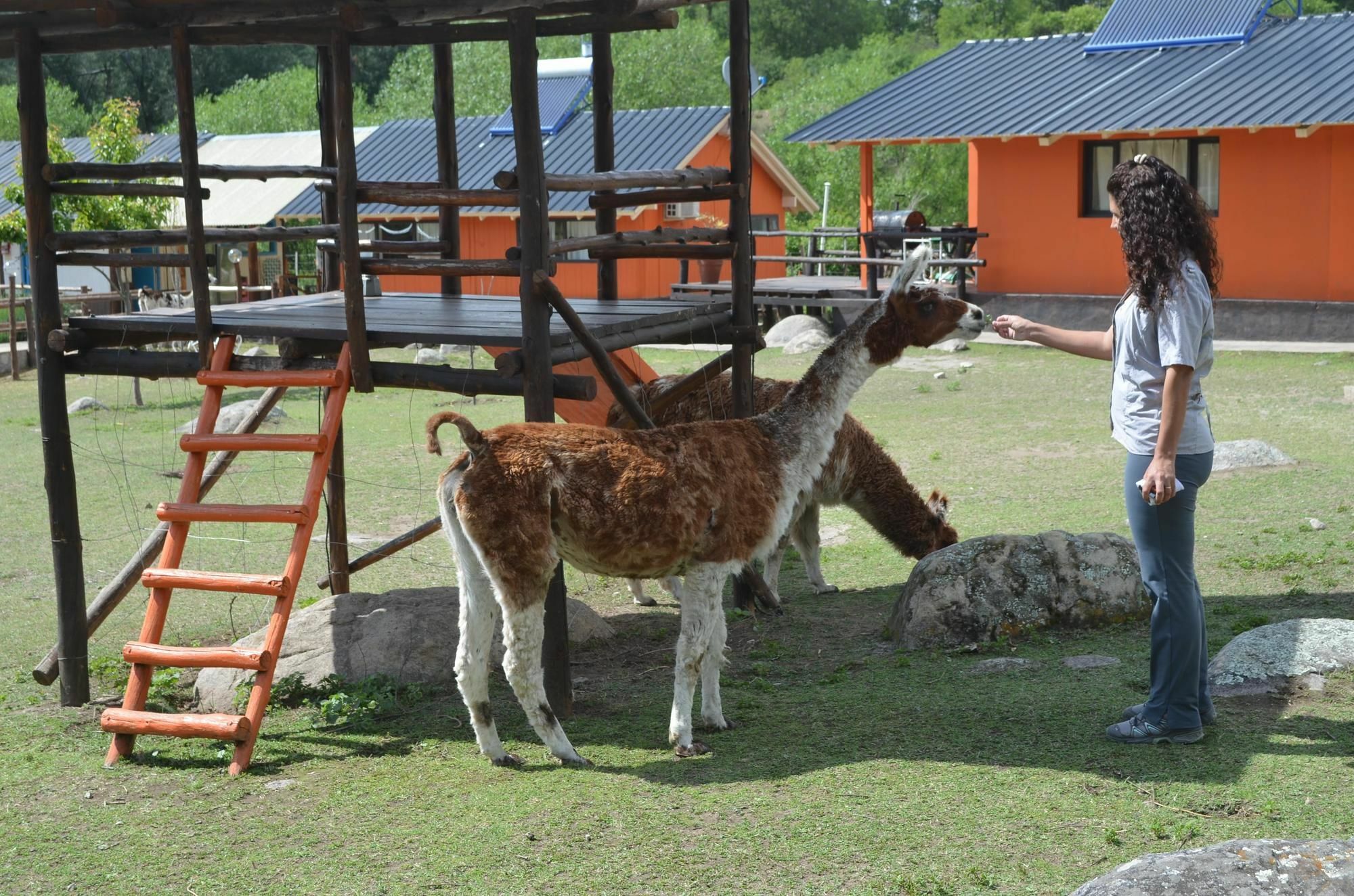 Descanso De Las Piedras Tafí del Valle Zewnętrze zdjęcie